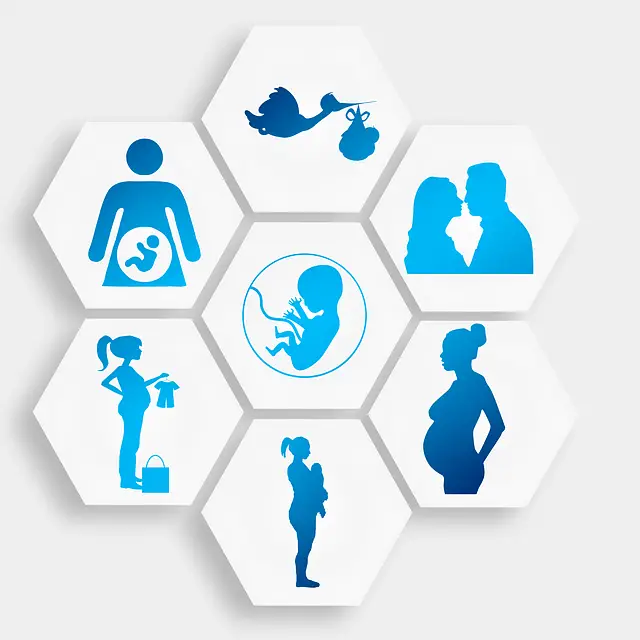 Voyager enceinte en 2023 : Conseils et précautions à prendre